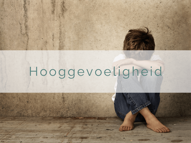 Hooggevoeligheid bij kinderen Kikke Coaching raalte(1)-min